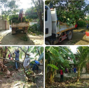 ตัดหญ้า