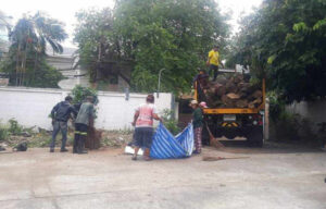 เก็บขยะ 8